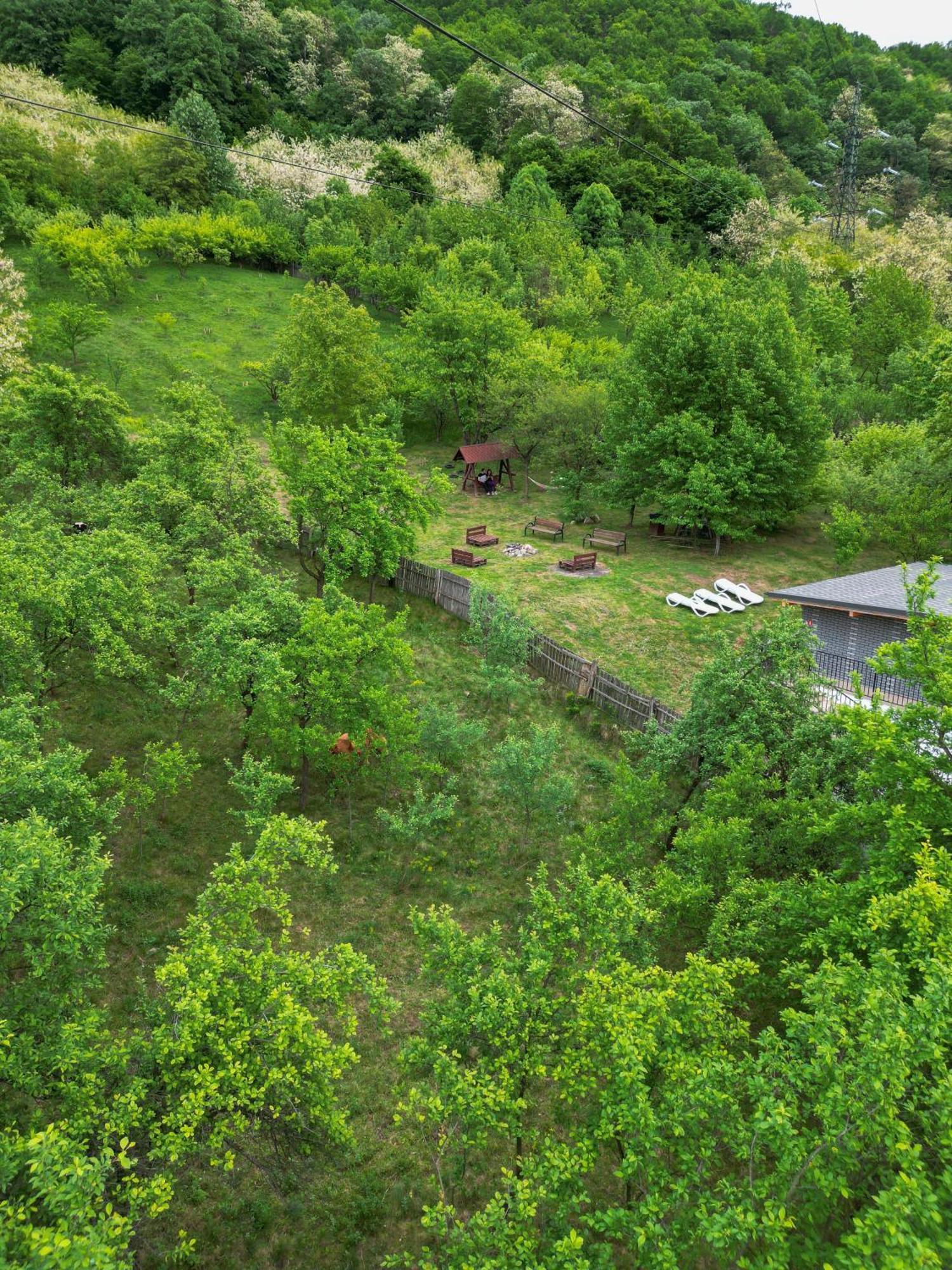Green Hill Villa Calimanesti Exterior photo